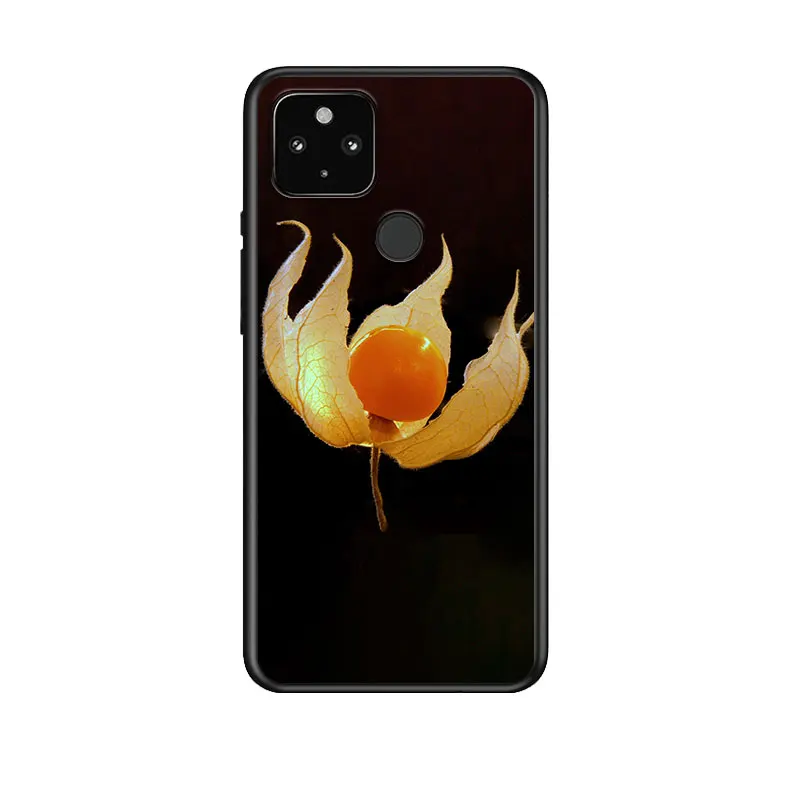 Flower Leaf for Google Pixel 5 Pixel 4a 5G Pixel 4a Pixel 4 Pixel 4 XL Silicone Soft Black Phone Case Cover
Flower Leaf for Google Pixel 5 Pixel 4a 5G Pixel 4a Pixel 4 Pixel 4 XL Silicone Soft Black Phone Case Cover