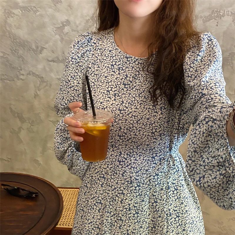 Hot Sale Charming O-Neck Female Vestidoses New Styles Lantern Long Sleeves Romantic Slim Early Autumn Women Dresses
Hot Sale Charming O-Neck Female Vestidoses New Styles Lantern Long Sleeves Romantic Slim Early Autumn Women Dresses