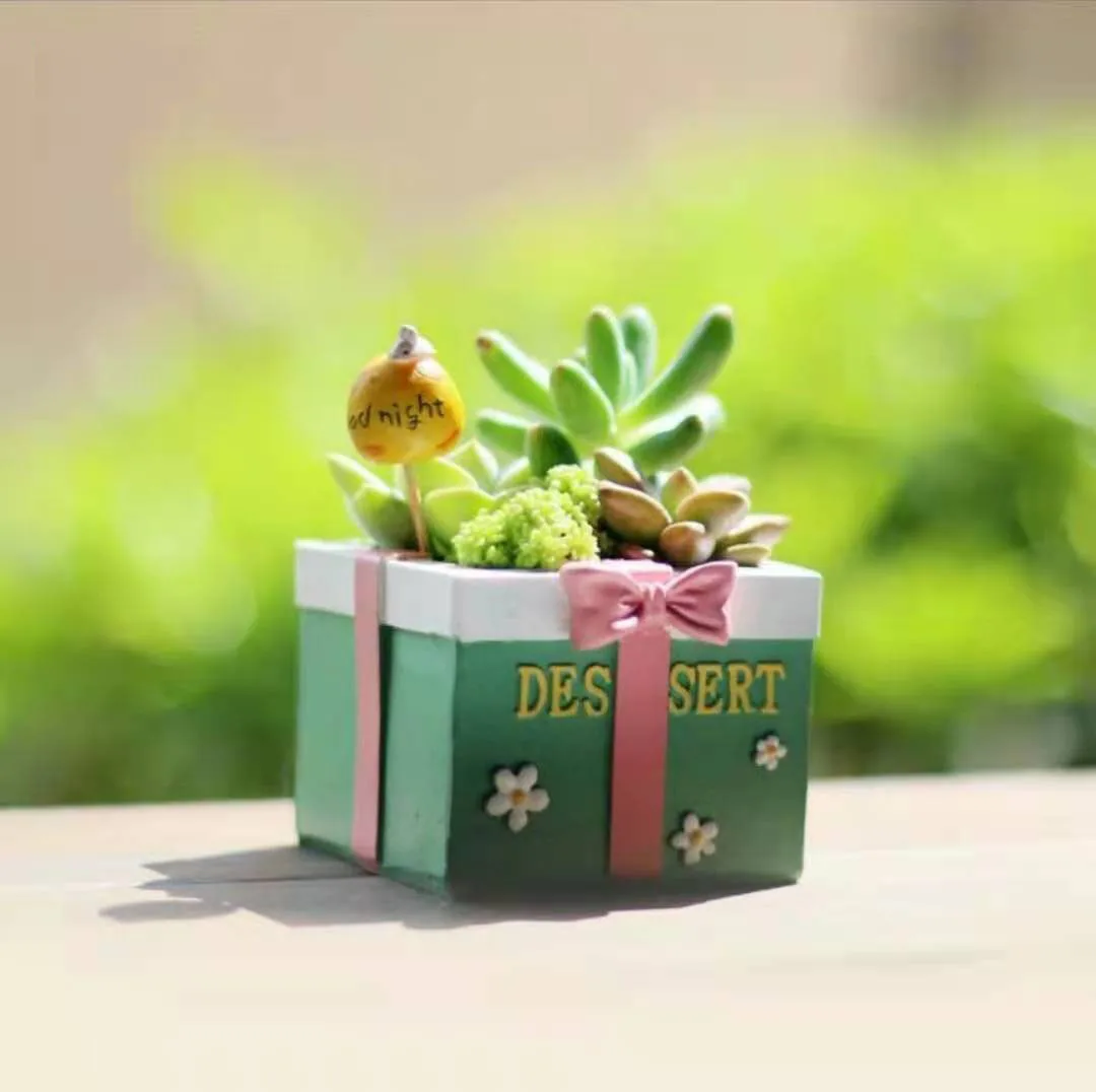Multi Meat Cartoon Animation Lovely Flower Pot Plant Creative Indoor Small Bedroom Desktop Decoration Kitchen KitchenTrend
Multi Meat Cartoon Animation Lovely Flower Pot Plant Creative Indoor Small Bedroom Desktop Decoration Kitchen KitchenTrend