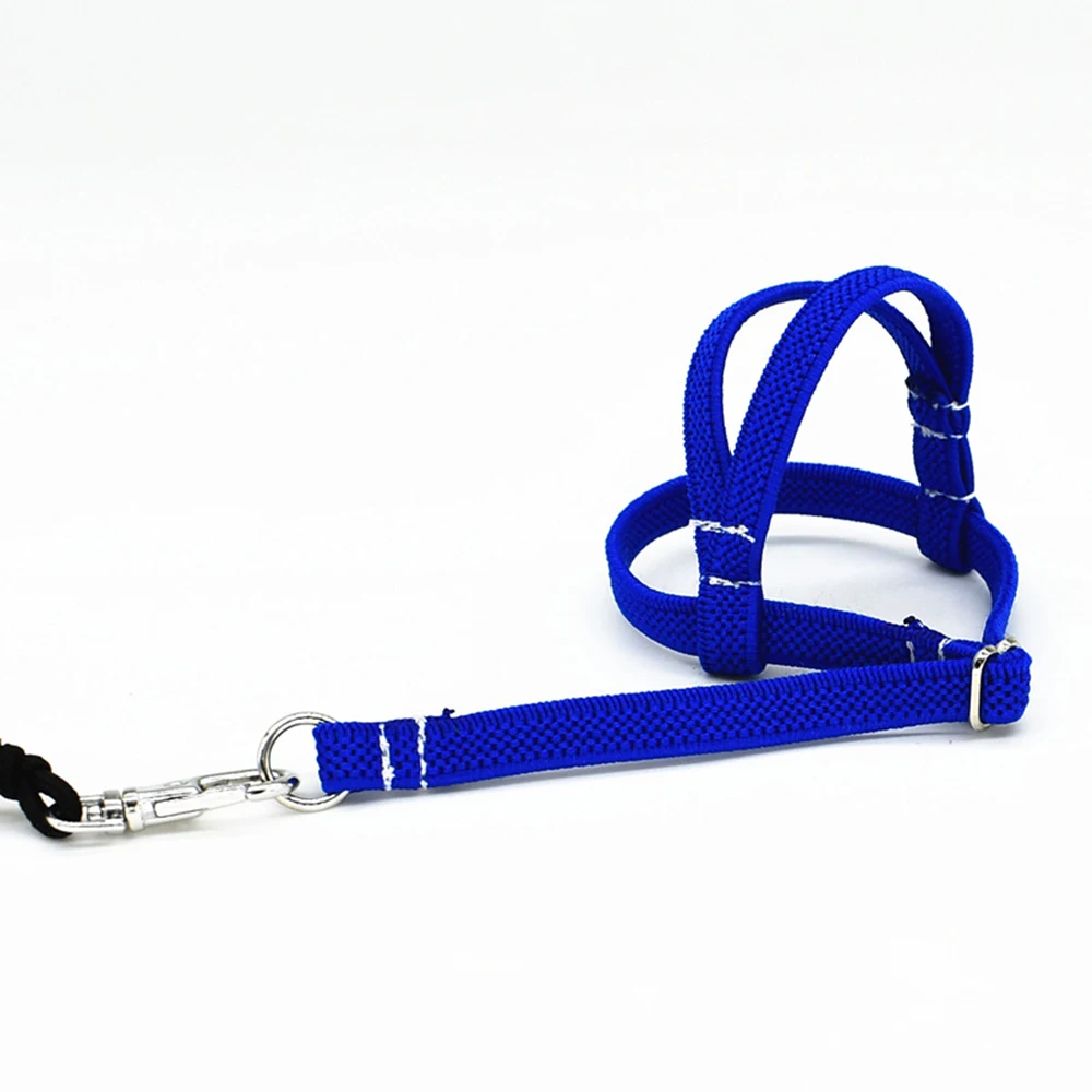Hot Sale Anti-bite Flying Training Rope Parrot Bird Pet Leash Kits Ultralight Harness Leash Soft Portable Pet Playthings
Hot Sale Anti-bite Flying Training Rope Parrot Bird Pet Leash Kits Ultralight Harness Leash Soft Portable Pet Playthings