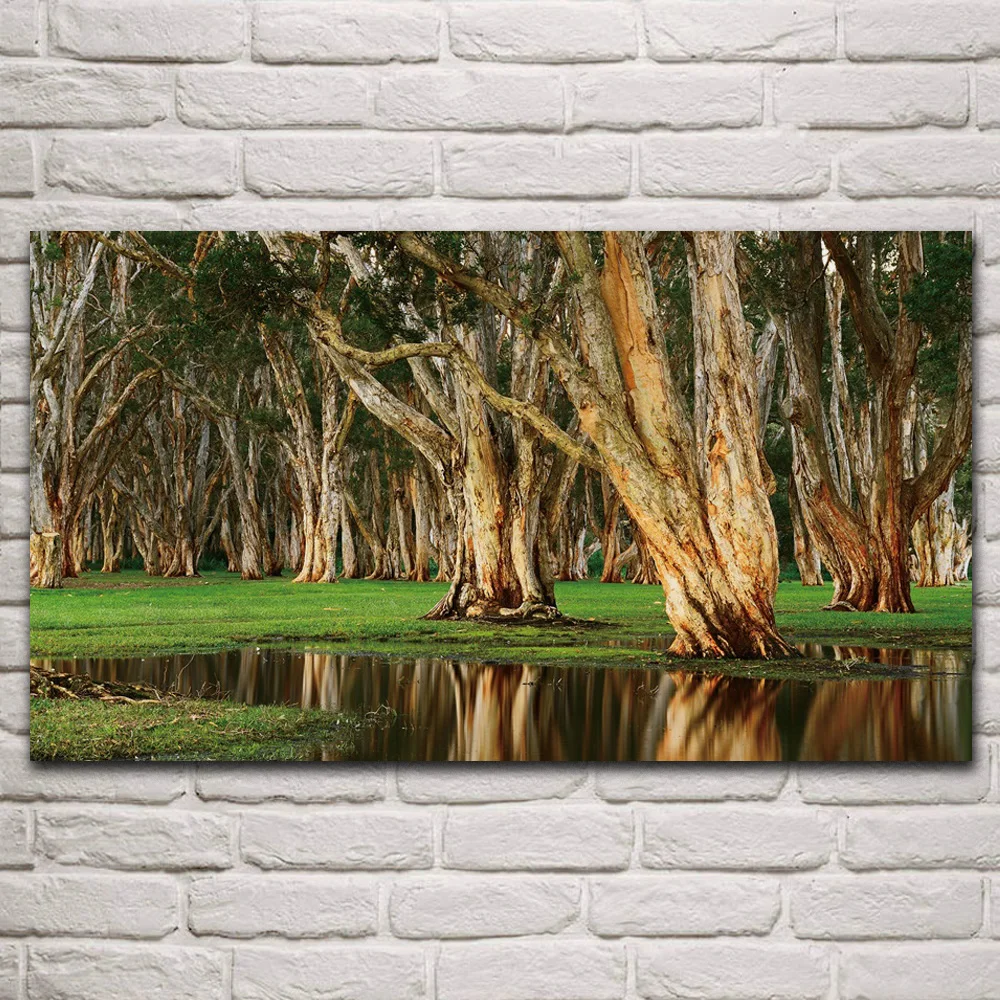 Beautiful tropical nature landscape forest swamp trees fabric posters on the wall picture home art living room decoration KQ088
Beautiful tropical nature landscape forest swamp trees fabric posters on the wall picture home art living room decoration KQ088