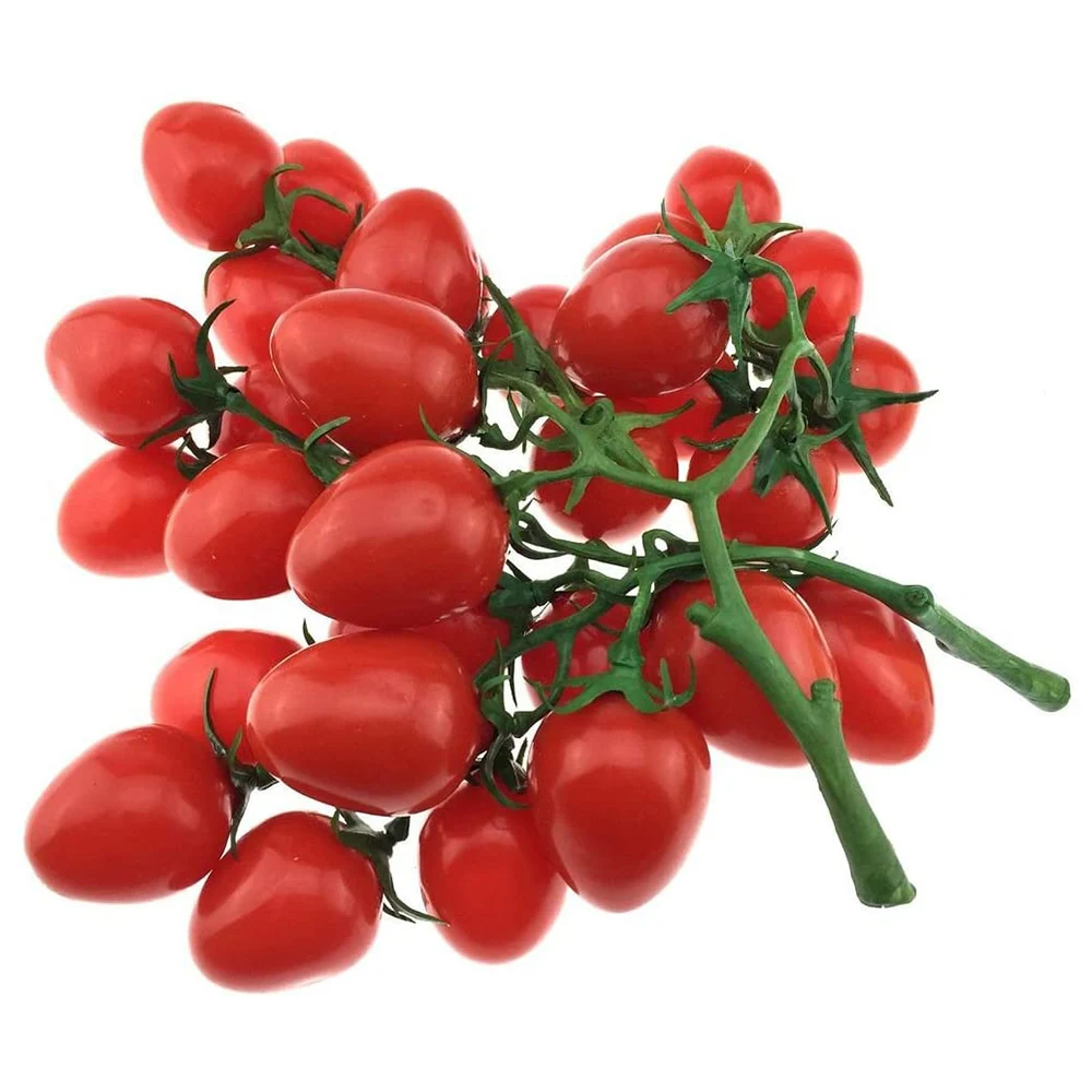 19cm Artificial Tomato Fake Fruit Vegetable Realistic PU For Kitchen Ornament House Wedding Home Decoration
19cm Artificial Tomato Fake Fruit Vegetable Realistic PU For Kitchen Ornament House Wedding Home Decoration