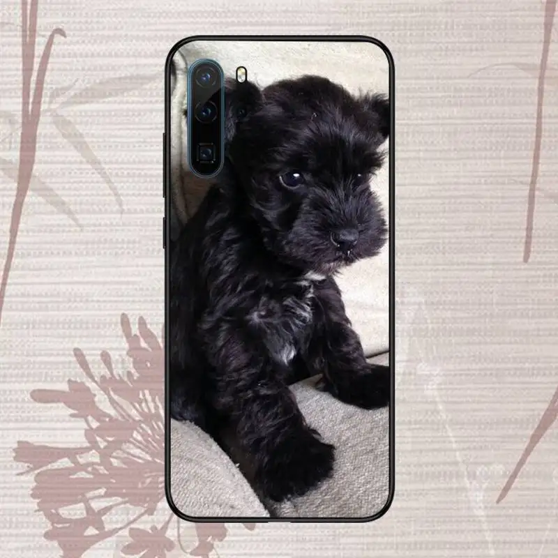 Lovely Dogs Schnauzer Phone Case For Huawei P20 P30 P40 lite Pro P Smart 2019 Mate 10 20 Lite Pro Nova 5t 
Lovely Dogs Schnauzer Phone Case For Huawei P20 P30 P40 lite Pro P Smart 2019 Mate 10 20 Lite Pro Nova 5t