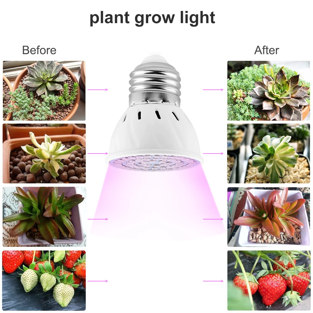 New TSLEEN 4W 6W 8W LED Grow Lights E27 E26 LED Plant Lights Flower Vegetable Hydroponics Grow Shop Decor 110-220V
New TSLEEN 4W 6W 8W LED Grow Lights E27 E26 LED Plant Lights Flower Vegetable Hydroponics Grow Shop Decor 110-220V
