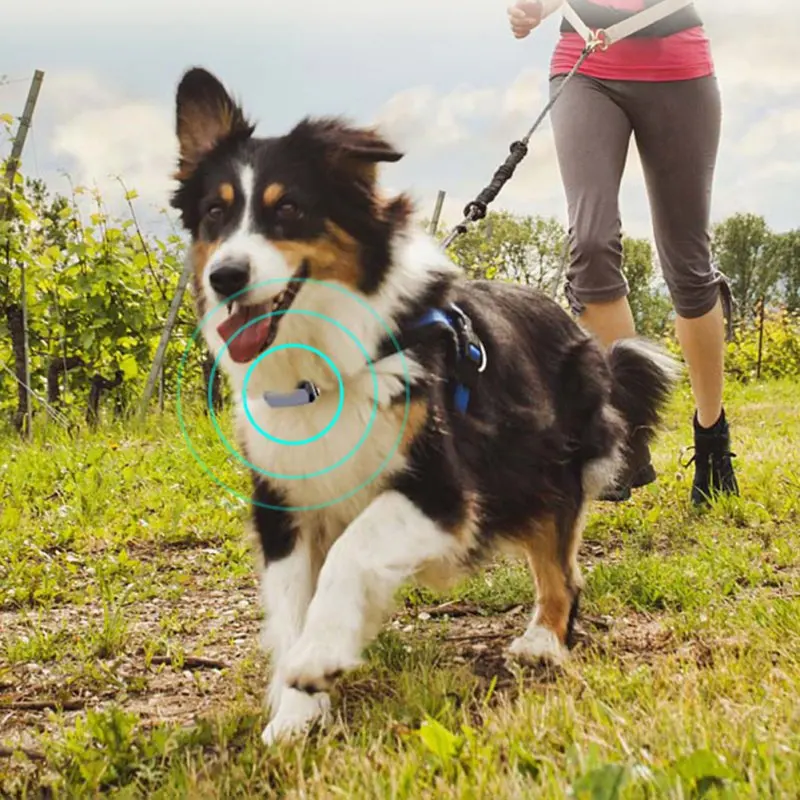 Smart GPS Tracker Pet Positioning Collar IP67 for Dogs And Cats AGPS LBS Positioning Geofence SOS Real-time Anti-lost Track New
Smart GPS Tracker Pet Positioning Collar IP67 for Dogs And Cats AGPS LBS Positioning Geofence SOS Real-time Anti-lost Track New