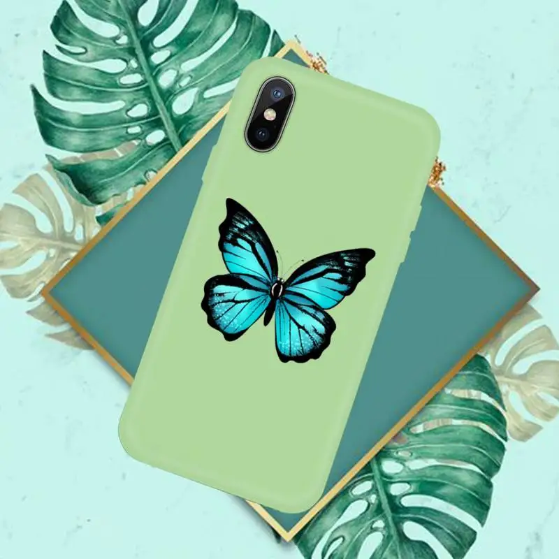 Beautiful butterfly Cartoon Phone Case Candy Color for iPhone 11 12 mini pro XS MAX 8 7 6 6S Plus X SE 2020 XR
Beautiful butterfly Cartoon Phone Case Candy Color for iPhone 11 12 mini pro XS MAX 8 7 6 6S Plus X SE 2020 XR