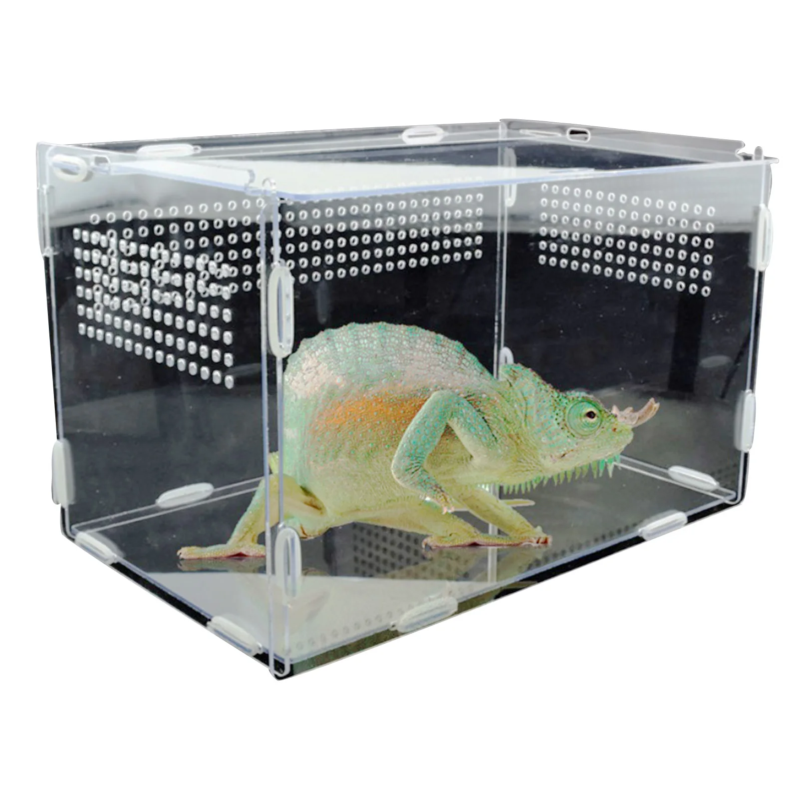 Acrylic Reptile Breeding Box Feeding Box for Spider Lizard Frog Cricket Turtle #5O
Acrylic Reptile Breeding Box Feeding Box for Spider Lizard Frog Cricket Turtle #5O