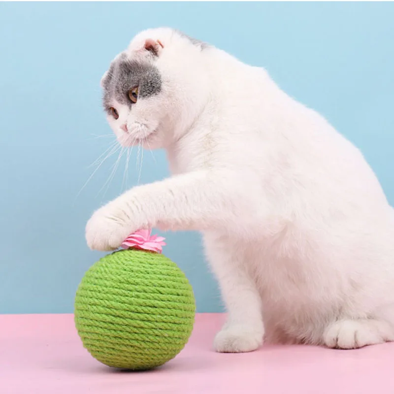 Cactus Sisal Rope Cat Ball Toy With Catnip Squeak Cat Teaser Toy Claws Grinding Play Chew Toys For Cats Scraper Kittens Cactus
Cactus Sisal Rope Cat Ball Toy With Catnip Squeak Cat Teaser Toy Claws Grinding Play Chew Toys For Cats Scraper Kittens Cactus