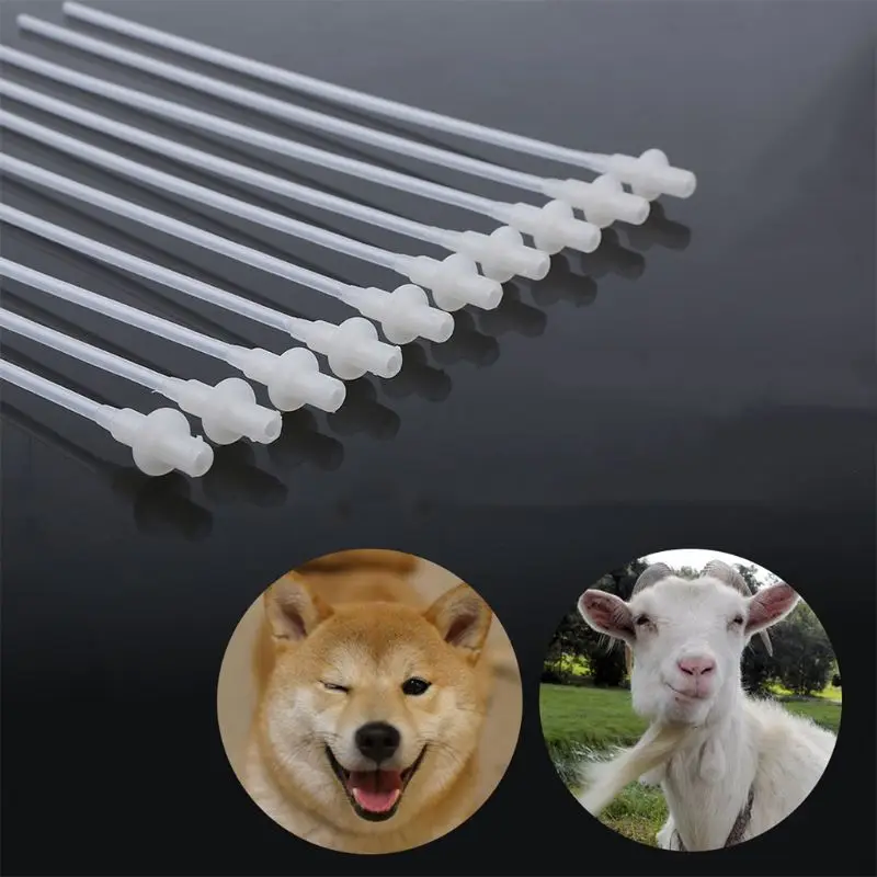 50pcs Canine Dog Goat Sheep Rabbit Bird AI Feeding Puppy Feed Artificial Insemination
50pcs Canine Dog Goat Sheep Rabbit Bird AI Feeding Puppy Feed Artificial Insemination