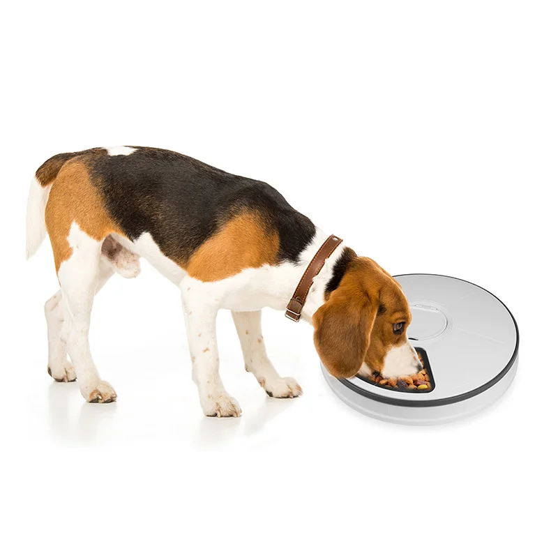 Round Automatic Feeder Bowl For Dogs Pet Feeder 6 Meals 6 Grids Cat Dog Electric Dry Food Dispenser 24 Hours Feed Pet Supplies
Round Automatic Feeder Bowl For Dogs Pet Feeder 6 Meals 6 Grids Cat Dog Electric Dry Food Dispenser 24 Hours Feed Pet Supplies