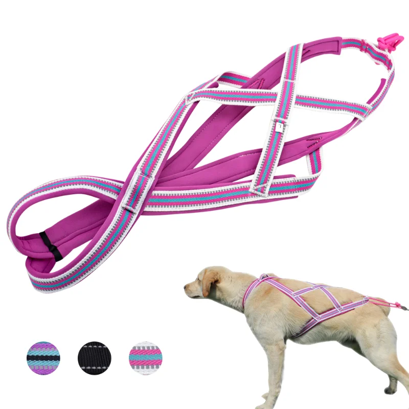 2021Dog тянущий поводок для домашних питомцев Mushing X Back, поводок для больших собак хаски, упражнения для скейтбординга
2021Dog тянущий поводок для домашних питомцев Mushing X Back, поводок для больших собак хаски, упражнения для скейтбординга