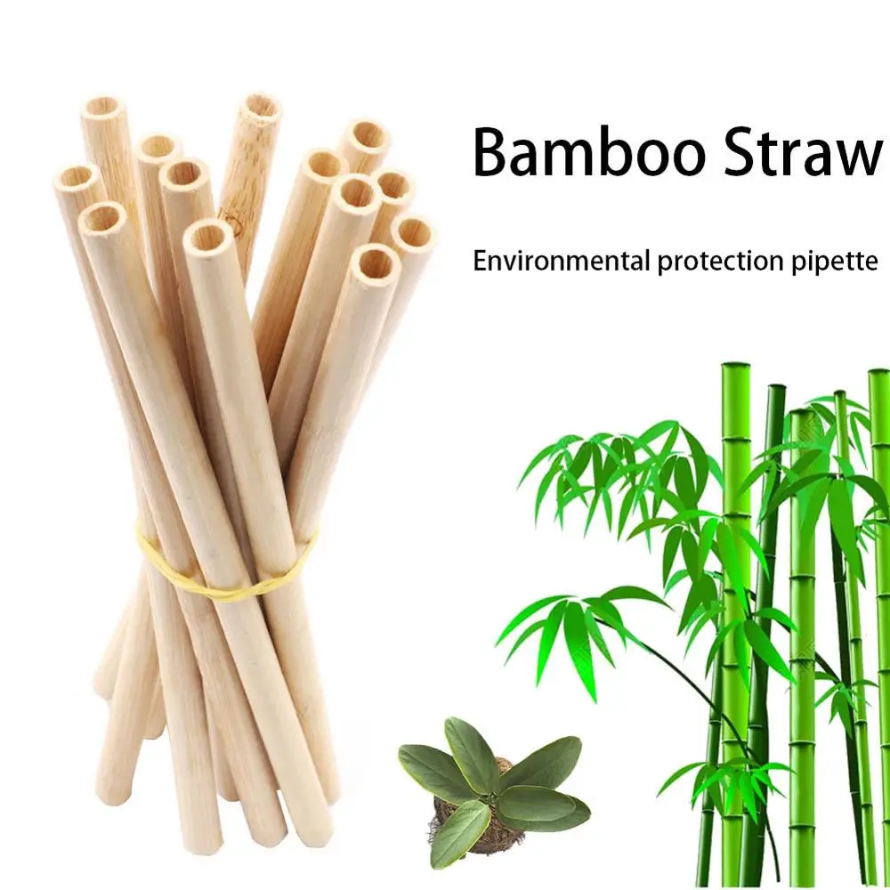High Quality Reusable Natural Bamboo Straws Eco-Friendly Party Kitchen Straws Straight Drinking Straw Easy to Clean and Maintain
High Quality Reusable Natural Bamboo Straws Eco-Friendly Party Kitchen Straws Straight Drinking Straw Easy to Clean and Maintain