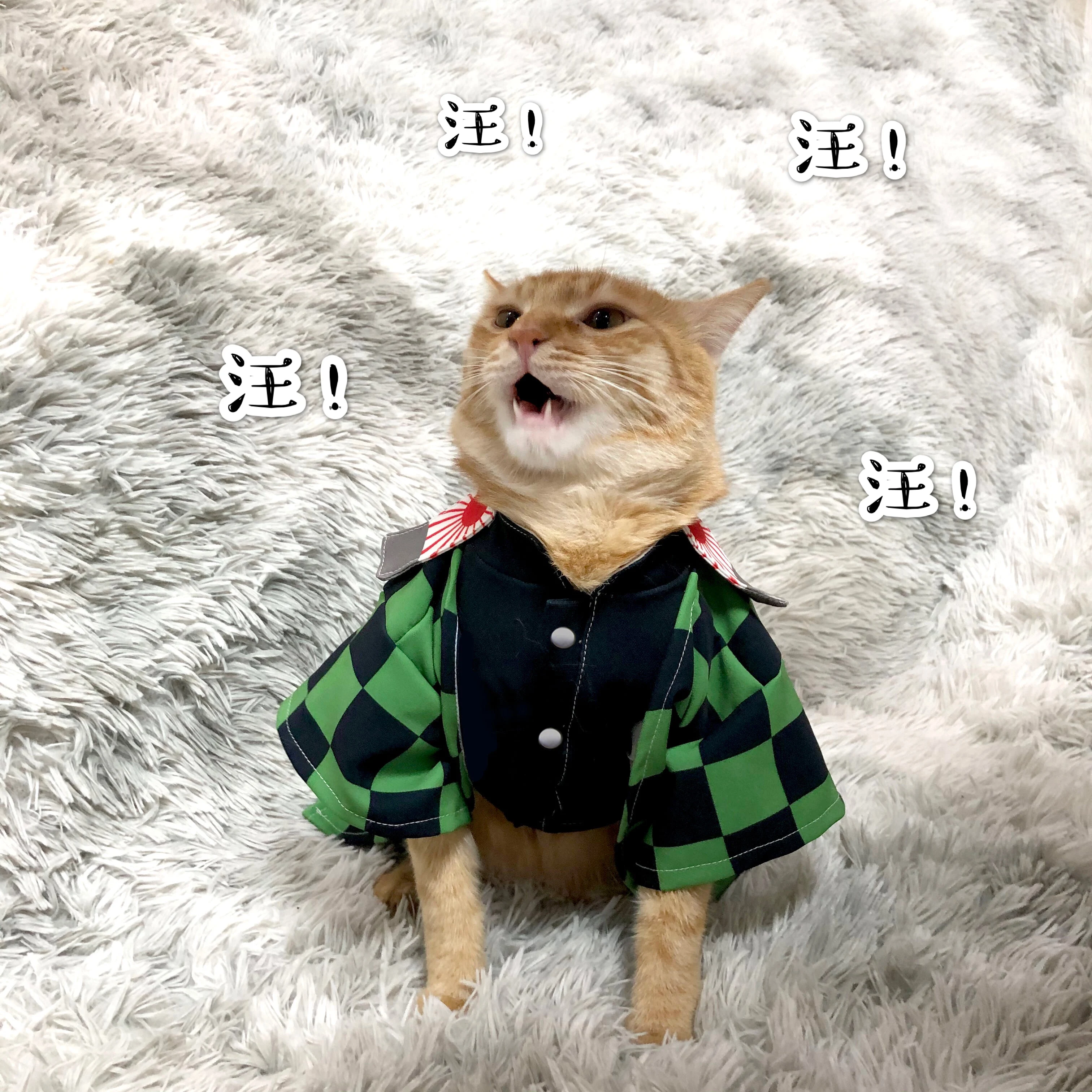 Demon Slayer Cosplay Cat Clothes Costumes Kigurumi Suit For Animator Spider Dress Chat Fancy Fantasia Pet Dog Disguise Cape
Demon Slayer Cosplay Cat Clothes Costumes Kigurumi Suit For Animator Spider Dress Chat Fancy Fantasia Pet Dog Disguise Cape