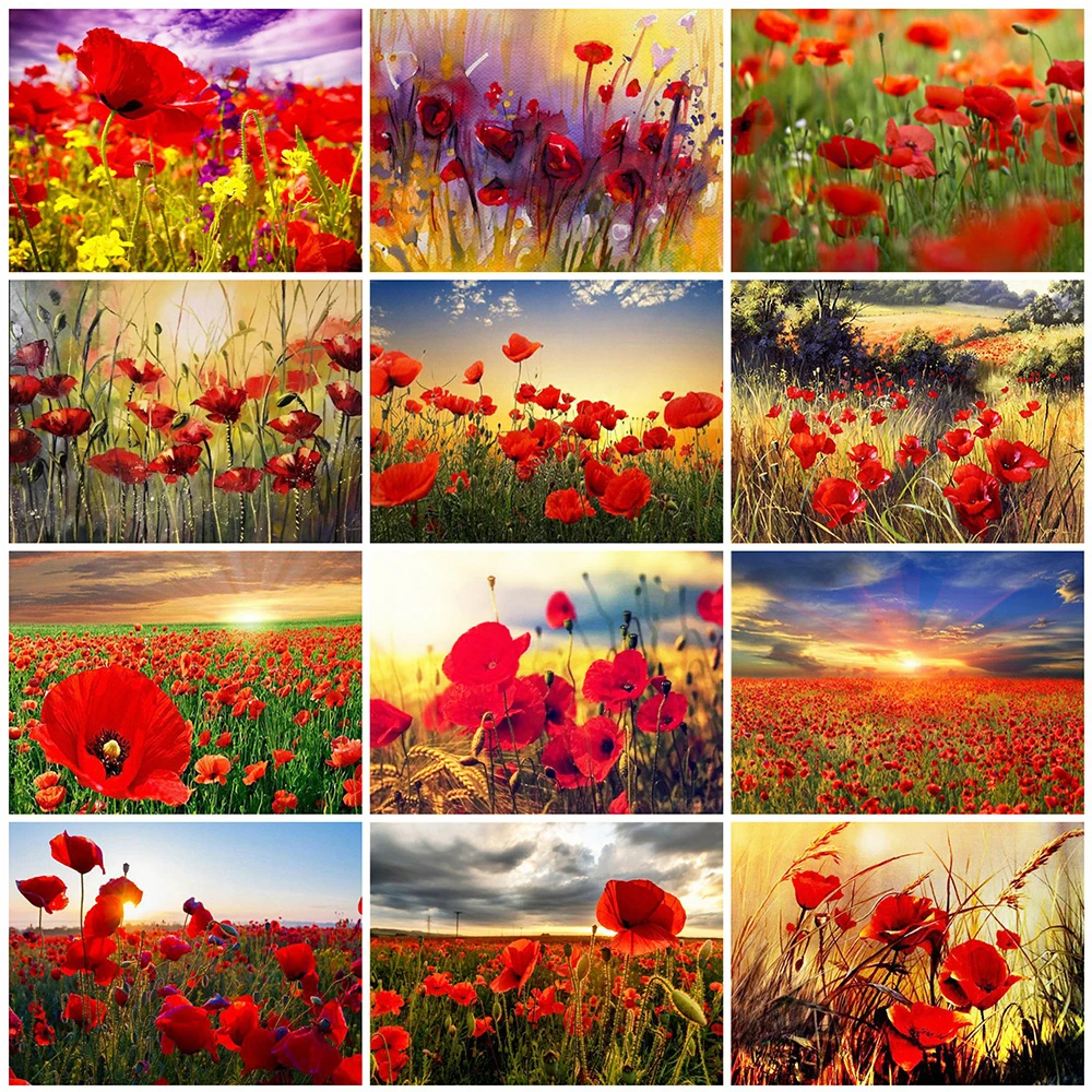 5D DIY Diamond Painting Poppy Full Square Round Diamond Embroidery Flower Cross Stitch Mosaic Wall Decoration
5D DIY Diamond Painting Poppy Full Square Round Diamond Embroidery Flower Cross Stitch Mosaic Wall Decoration