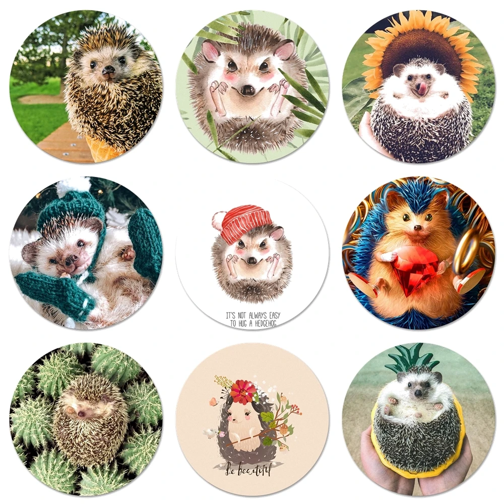 58mm Hedgehog Cute in Teacup Icons Pins Badge Decoration Brooches Metal Badges For Backpack Decoration
58mm Hedgehog Cute in Teacup Icons Pins Badge Decoration Brooches Metal Badges For Backpack Decoration