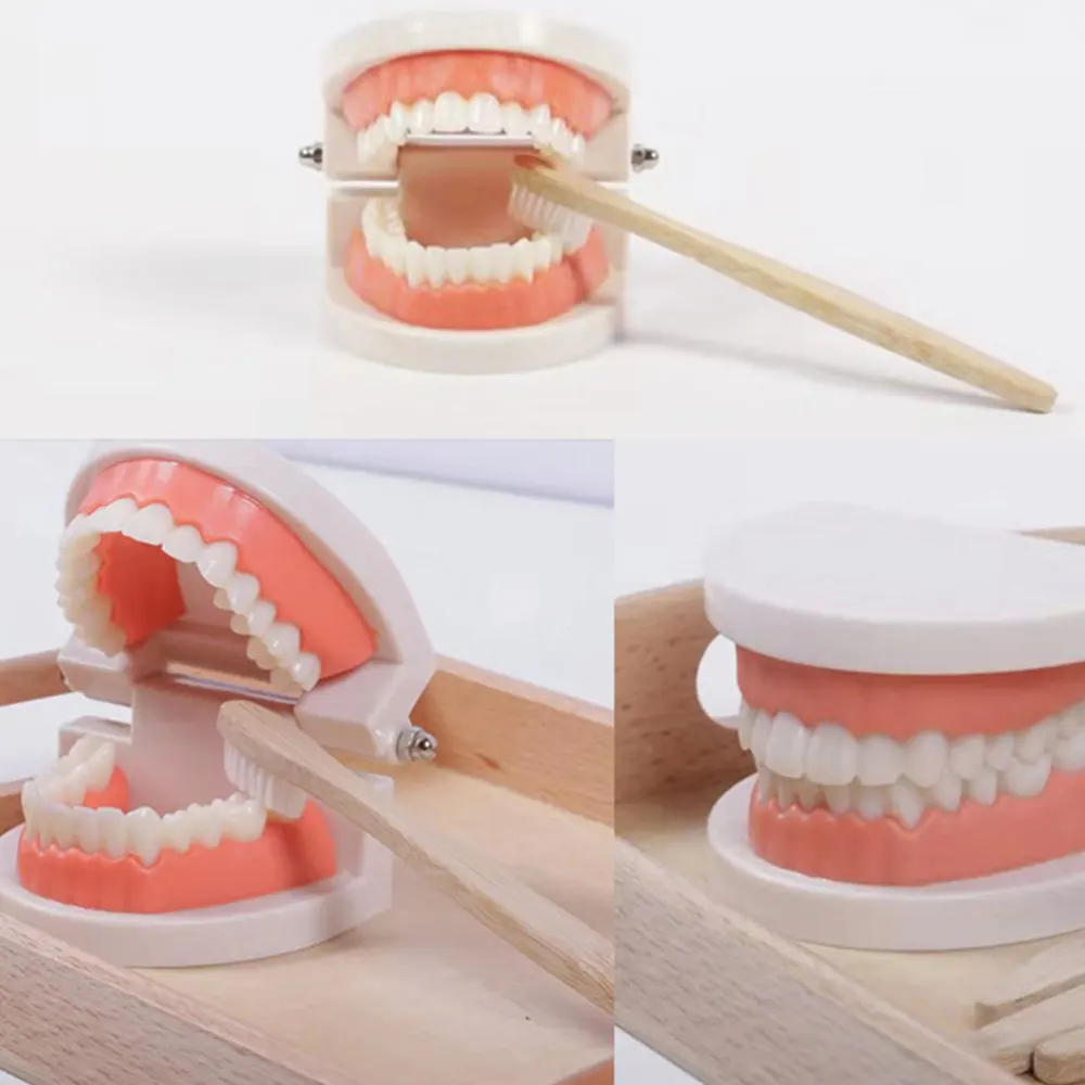 1 Set Wash Gargle Toys Wooden Brushing Educational Plaything for Kid
1 Set Wash Gargle Toys Wooden Brushing Educational Plaything for Kid