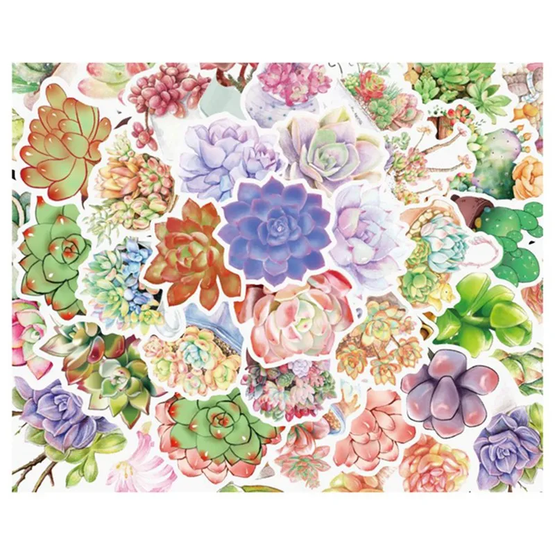 50 Pcs / Set Succulent Plants Graffiti Sticker Cactus For Luggage Laptop Car Skateboard Guitar Fridge Decal Toy Pvc Waterproof
50 Pcs / Set Succulent Plants Graffiti Sticker Cactus For Luggage Laptop Car Skateboard Guitar Fridge Decal Toy Pvc Waterproof