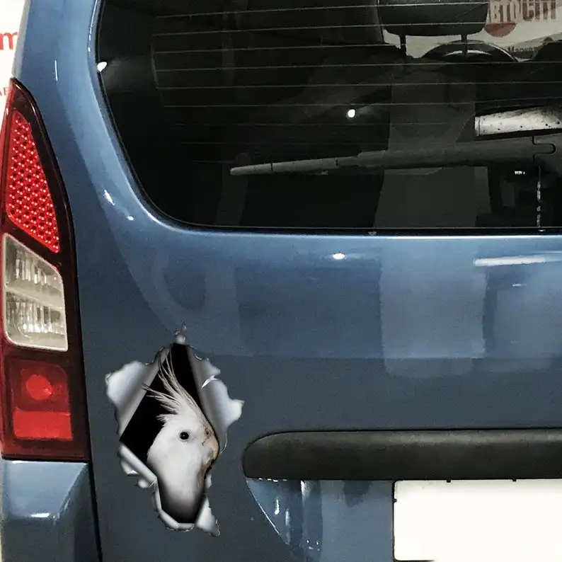 2021 Albino Cockatiel car decal, Albino Cockatiel magnet, torn metal decal, Albino Cockatiel sticker
2021 Albino Cockatiel car decal, Albino Cockatiel magnet, torn metal decal, Albino Cockatiel sticker
