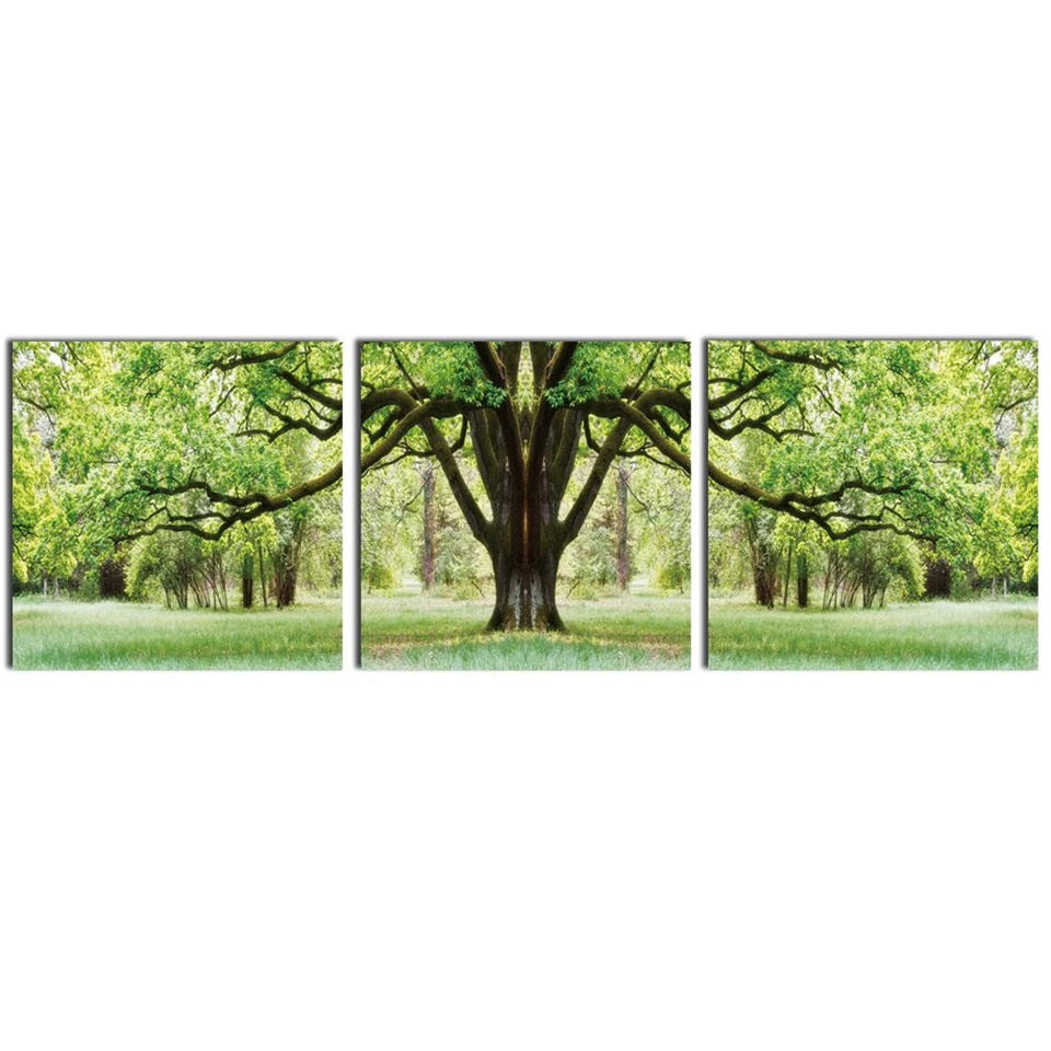 3 Pieces Forest Tree Scenery Modern Painting On Canvas Pictures HD Printed Home Decoration Posters Frame Living Room Wall Art
3 Pieces Forest Tree Scenery Modern Painting On Canvas Pictures HD Printed Home Decoration Posters Frame Living Room Wall Art