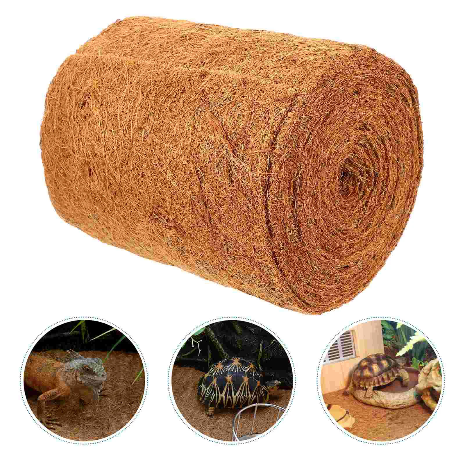 Natural Coconut Fibre Reptile Carpet Mat Reptile Cushion Plant Protection Supply
Natural Coconut Fibre Reptile Carpet Mat Reptile Cushion Plant Protection Supply