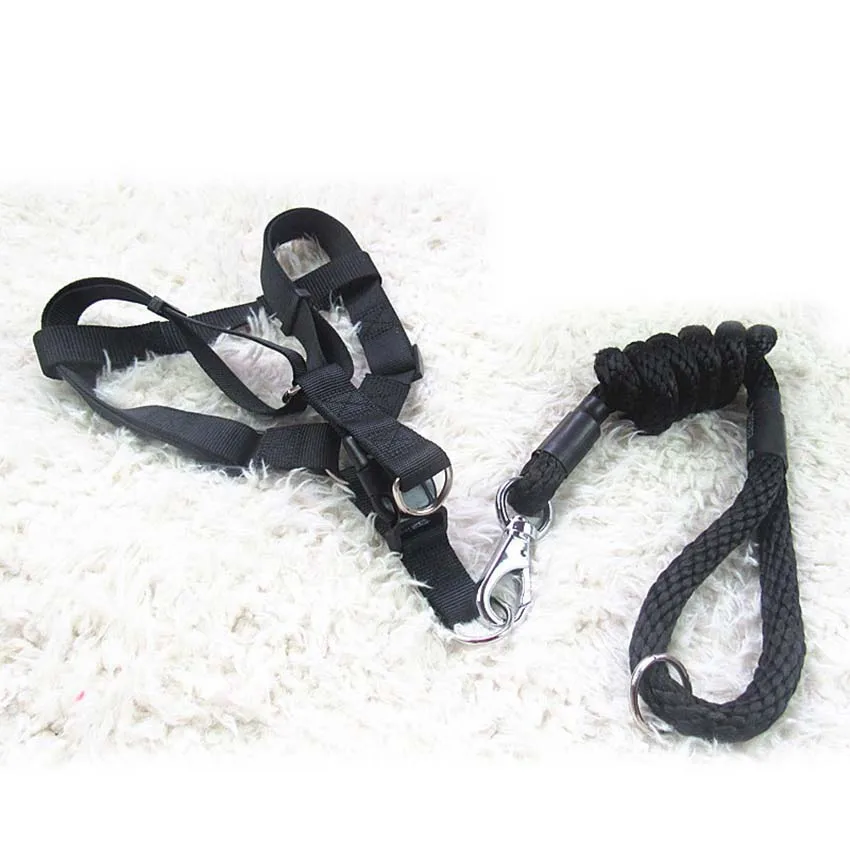 Nylon Pet Leashes Dog Harness Leash Lead Set For Small Medium Dogs Puppy Chihuahua Yorkie 1M 1.2M 1.5M Adjustable Dog Leash
Nylon Pet Leashes Dog Harness Leash Lead Set For Small Medium Dogs Puppy Chihuahua Yorkie 1M 1.2M 1.5M Adjustable Dog Leash