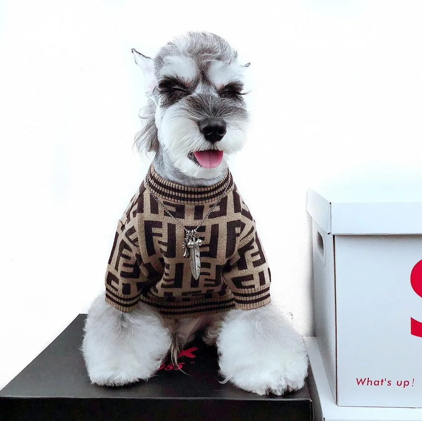Chaopai pet clothes dog cat fadou Chenery Teddy VIP dog clothes autumn and winter new sweater
Chaopai pet clothes dog cat fadou Chenery Teddy VIP dog clothes autumn and winter new sweater