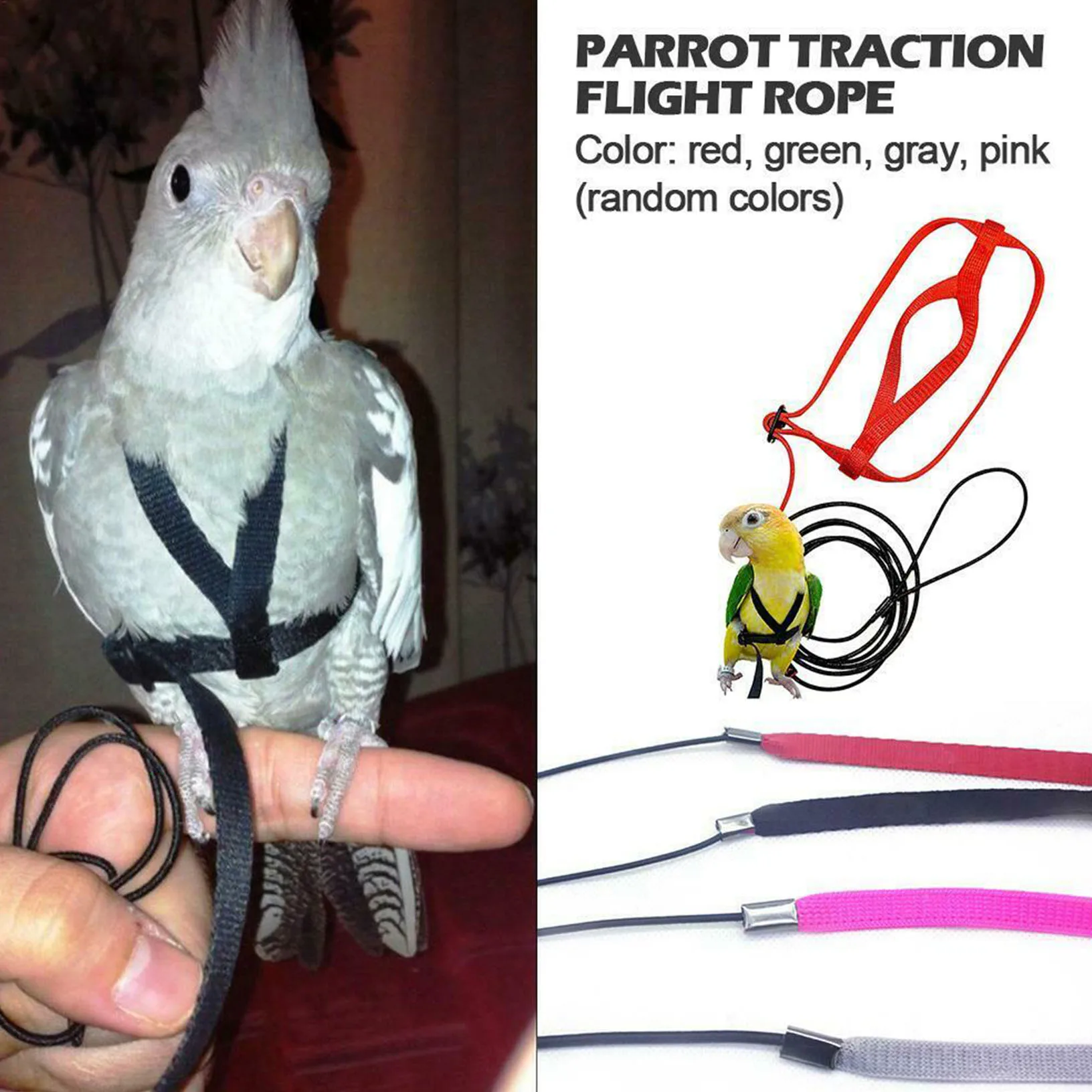 Parrot Bird Harness Leash Outdoor Flying Traction Straps Band Adjustable Anti-Bite Training Rope
Parrot Bird Harness Leash Outdoor Flying Traction Straps Band Adjustable Anti-Bite Training Rope