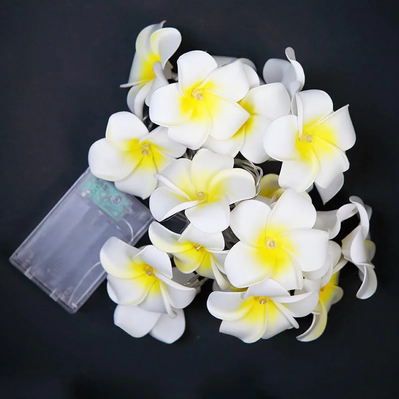 Blossom Flower LED String Light Wedding Decoration Fairy Light Pendant Room Curtain Light Battery Festival Party Wall Decor Lamp
Blossom Flower LED String Light Wedding Decoration Fairy Light Pendant Room Curtain Light Battery Festival Party Wall Decor Lamp