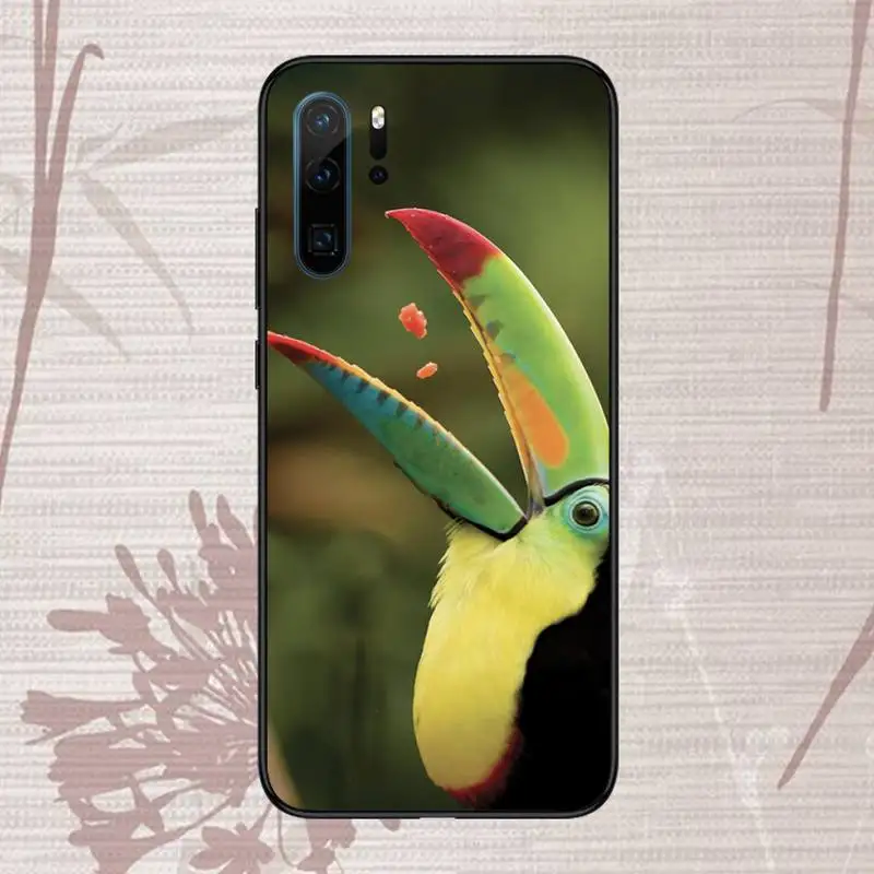 Keel-billed Toucan Phone Case For Huawei P20 P30 P40 lite Pro P Smart 2019 Mate 10 20 Lite Pro Nova 5t
Keel-billed Toucan Phone Case For Huawei P20 P30 P40 lite Pro P Smart 2019 Mate 10 20 Lite Pro Nova 5t