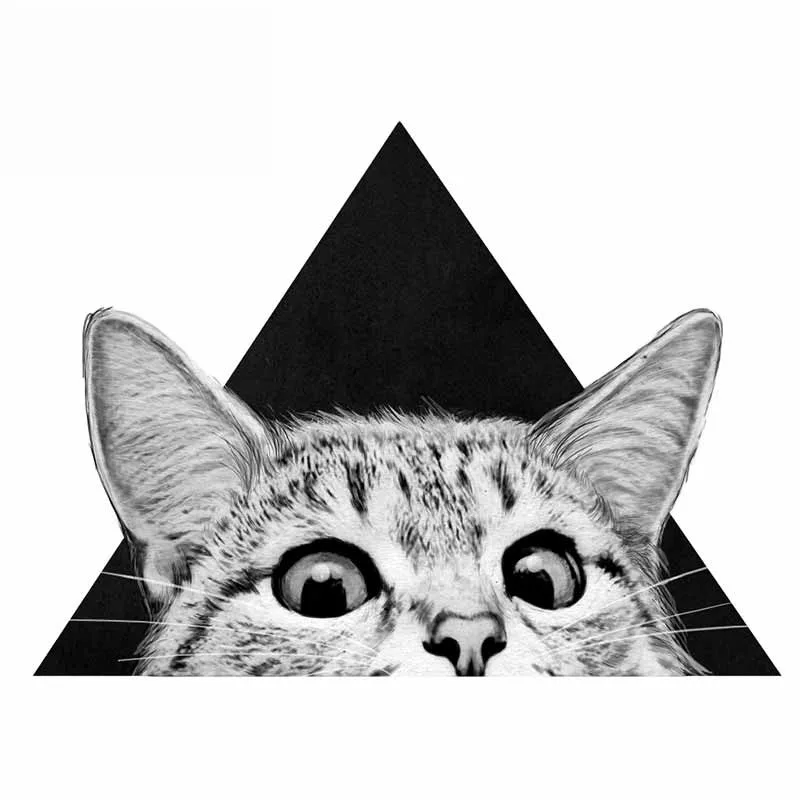 Cat Funny Car Sticker Decoration Waterproof Decal Laptop Suitcase Truck Motorcycle Auto Accessories PVC,13cm*9cm
Cat Funny Car Sticker Decoration Waterproof Decal Laptop Suitcase Truck Motorcycle Auto Accessories PVC,13cm*9cm