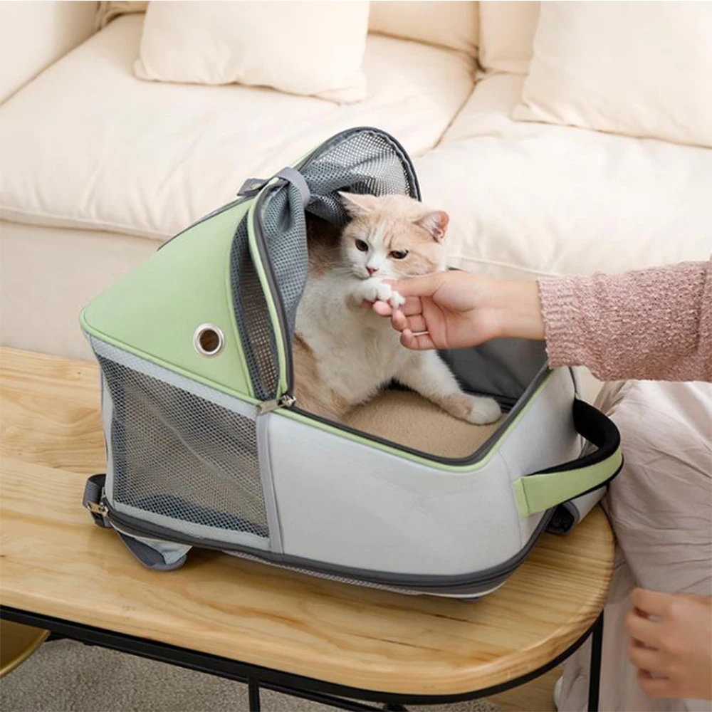 Pet Backpack Carrier Transparent Pet Bag PVC Dog Bag Cat Backpack Folding Cat Bag Capsule Out Portable PET Case Foldable
Pet Backpack Carrier Transparent Pet Bag PVC Dog Bag Cat Backpack Folding Cat Bag Capsule Out Portable PET Case Foldable