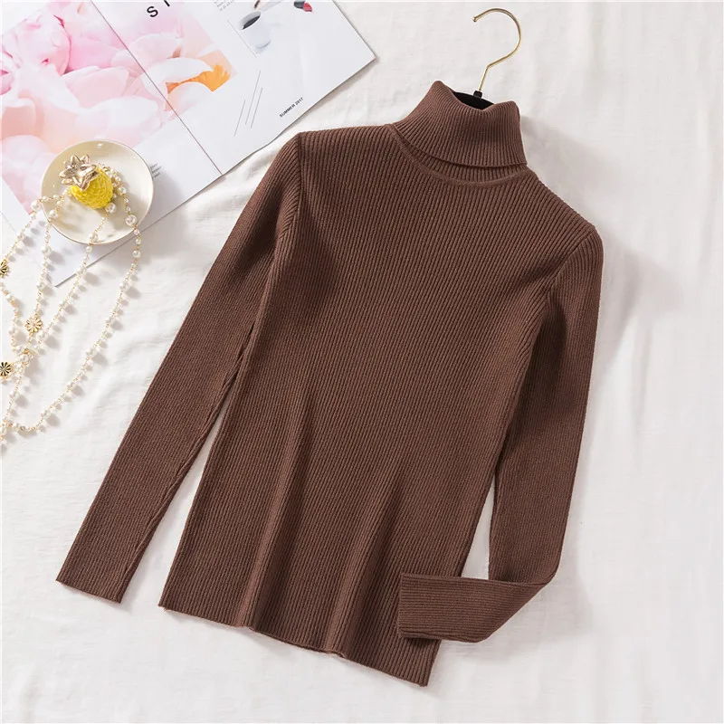 New Autumn Winter Women Knitted Turtleneck Sweater Soft Warm Female Sweater Solid color Fashion Slim Femme Elasticity Pullovers
New Autumn Winter Women Knitted Turtleneck Sweater Soft Warm Female Sweater Solid color Fashion Slim Femme Elasticity Pullovers