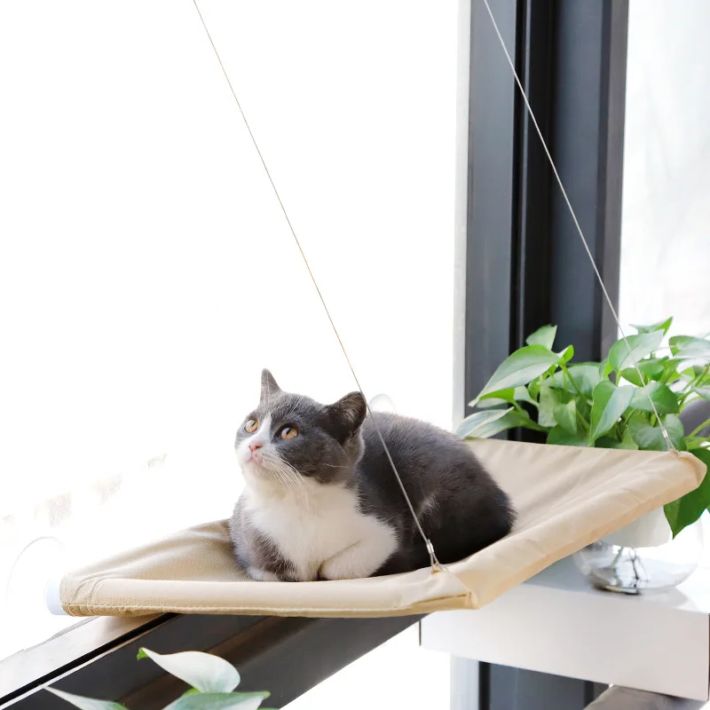 Four Season Solid Strong Sucking Discs Cat Hammock Cat Hanging Bed Sleeping Blanket Soft Dog Bed for Small Pets Mat Pet Supplies
Four Season Solid Strong Sucking Discs Cat Hammock Cat Hanging Bed Sleeping Blanket Soft Dog Bed for Small Pets Mat Pet Supplies