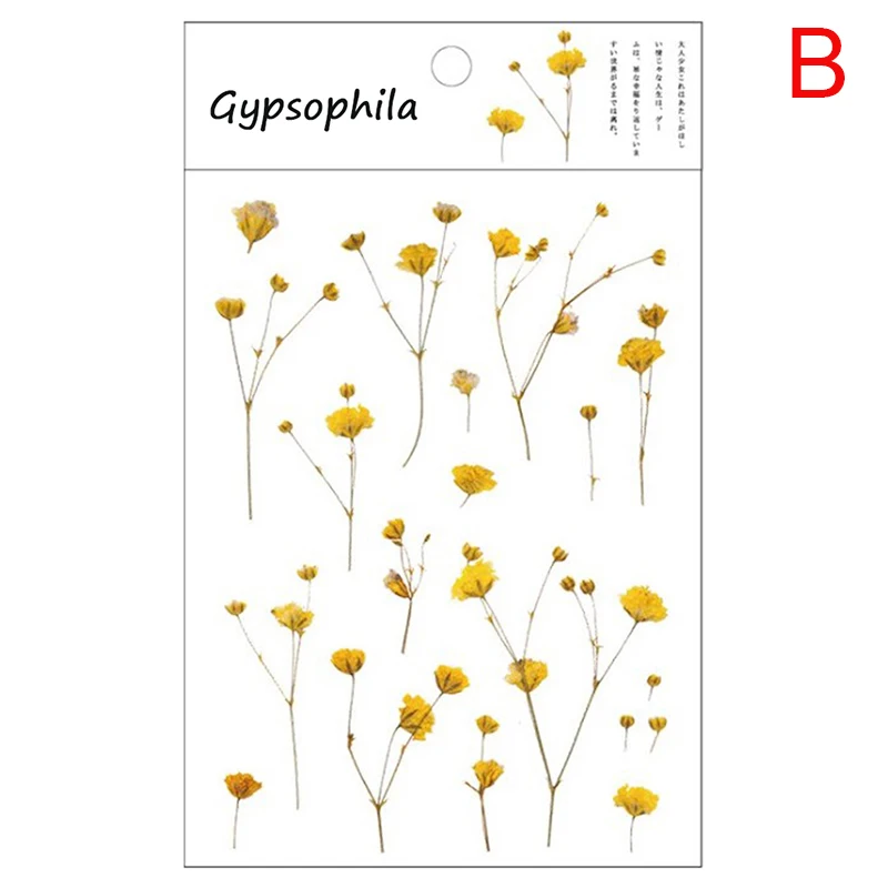 5 designs Natural Daisy Clover Stickers Transparent PET Material Flowers Leaves Plants Deco Stickers 
5 designs Natural Daisy Clover Stickers Transparent PET Material Flowers Leaves Plants Deco Stickers