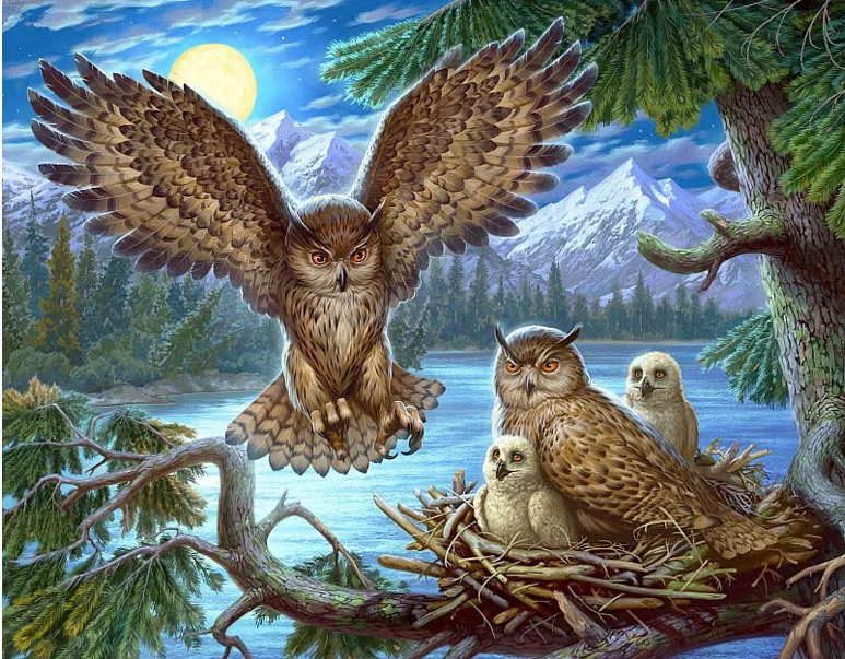 Div 5D Night Mountain Moon Owl Tree Full Diamond Painting cross stitch kits art High Quality Animal 3D paint by diamonds
Div 5D Night Mountain Moon Owl Tree Full Diamond Painting cross stitch kits art High Quality Animal 3D paint by diamonds