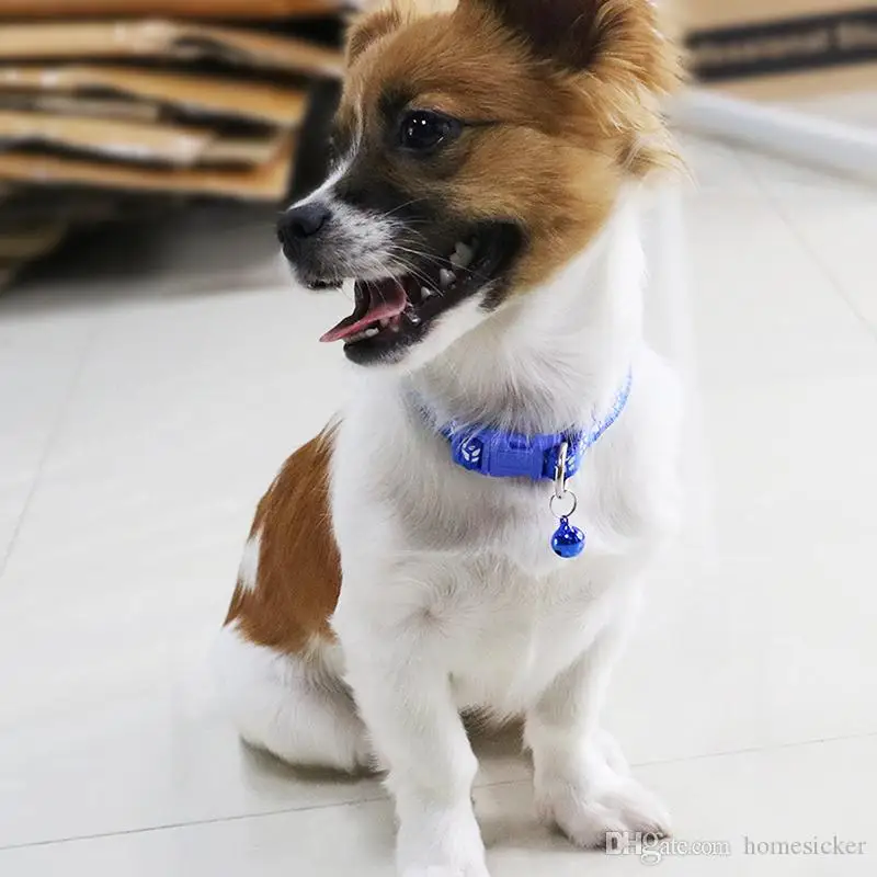 Safety Nylon Dog Puppy Cat Collar Breakaway Adjustable Cats Collars with Bell and Bling Paw Charm width 1.0cm
Safety Nylon Dog Puppy Cat Collar Breakaway Adjustable Cats Collars with Bell and Bling Paw Charm width 1.0cm