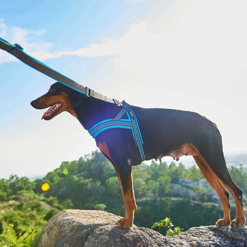 Pet Dog Summer Harnesses Outdoor Walking Summer Breathable Harnesses Pet Dog Supply Repflctive Adjustable Harnesses for Cat Dogs
