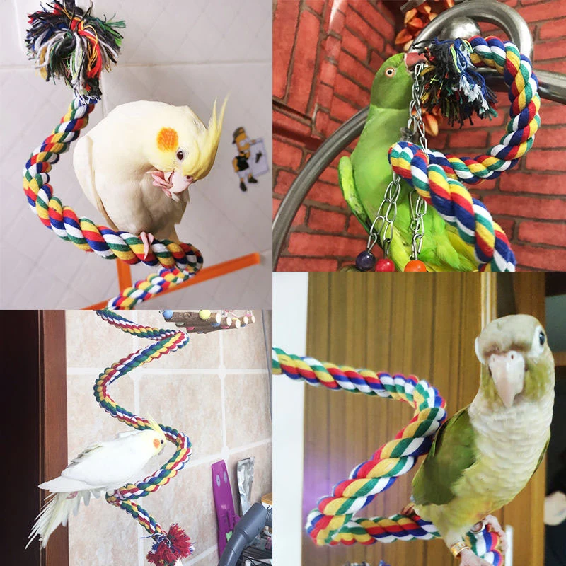 Parrot Rope Bird Toy Cage Decoration Colorful Stand Training Accessories Hanging Braided Bell Budgie Chew Rope Climbing Cage
Parrot Rope Bird Toy Cage Decoration Colorful Stand Training Accessories Hanging Braided Bell Budgie Chew Rope Climbing Cage