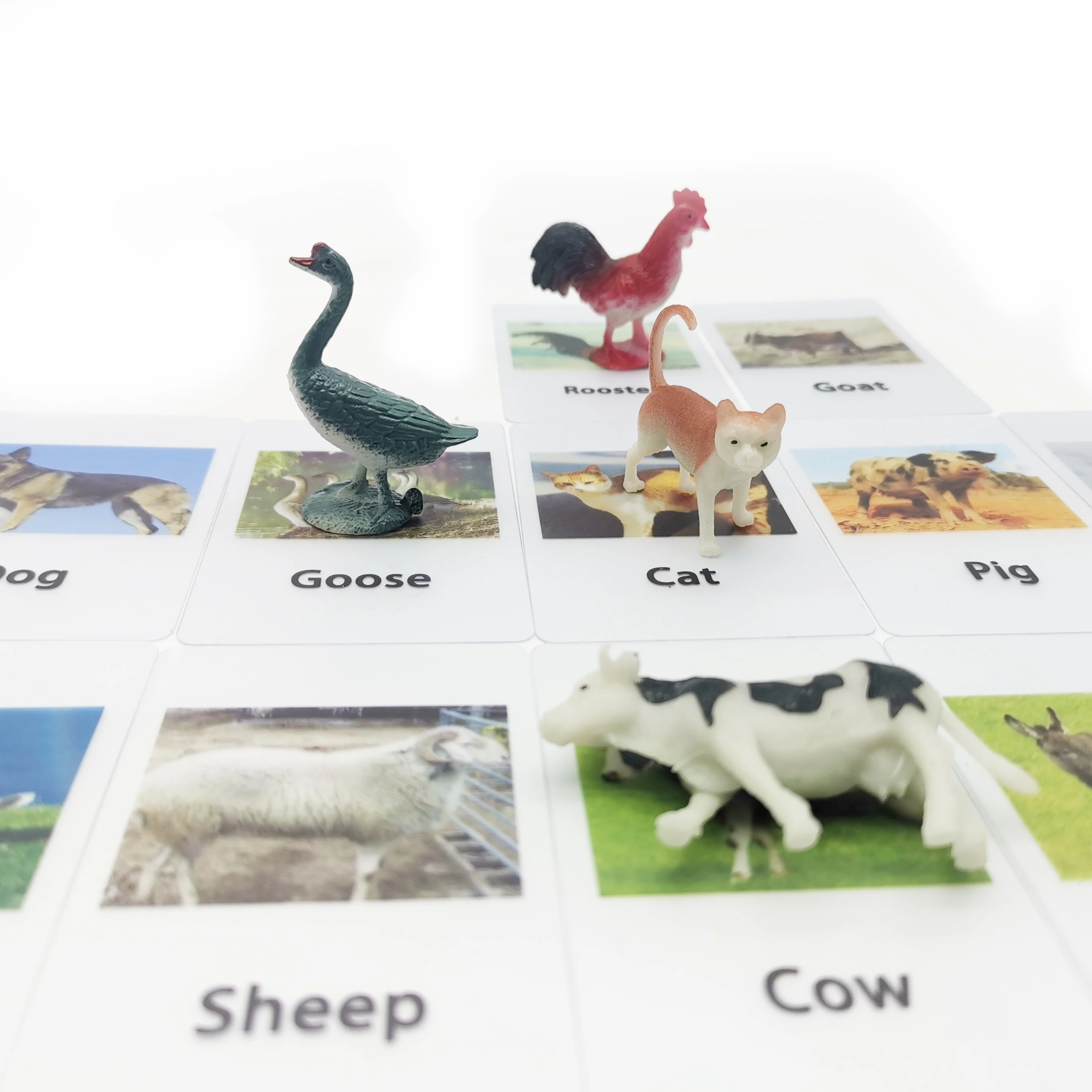 Montessori Learning Materials Toys Animal Match Cards and Figurines, Matching Game Learning English Materials Juguetes
Montessori Learning Materials Toys Animal Match Cards and Figurines, Matching Game Learning English Materials Juguetes