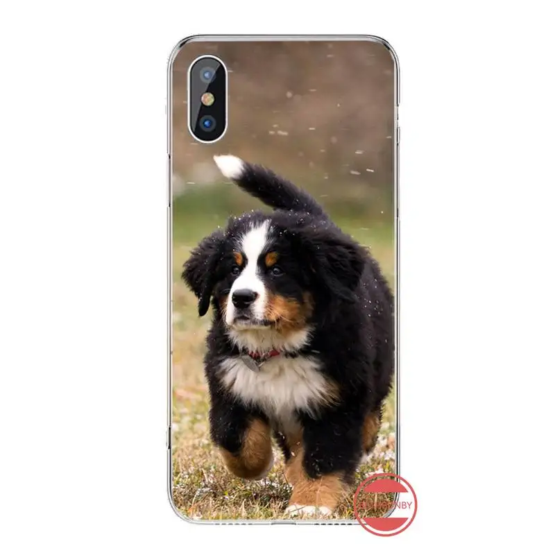 Bernese Mountain Dog Phone Case For iphone 12 5 5s 5c se 6 6s 7 8 plus x xs xr 11 pro max mini
Bernese Mountain Dog Phone Case For iphone 12 5 5s 5c se 6 6s 7 8 plus x xs xr 11 pro max mini