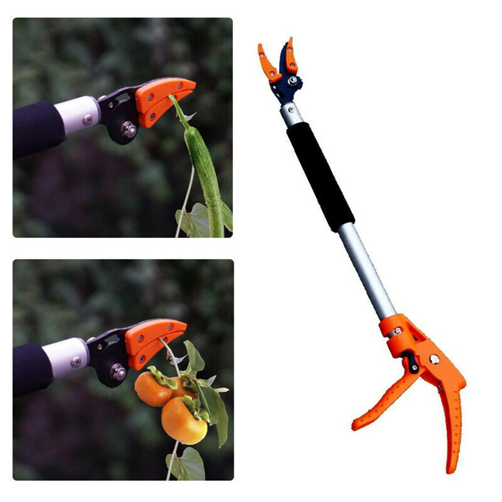 Tree Pruner Telescopic Tree Pruning Shears Fruit Picker Tree Trimmer Garden Supplies Tree Pruning Machine Fruit Picker
Tree Pruner Telescopic Tree Pruning Shears Fruit Picker Tree Trimmer Garden Supplies Tree Pruning Machine Fruit Picker