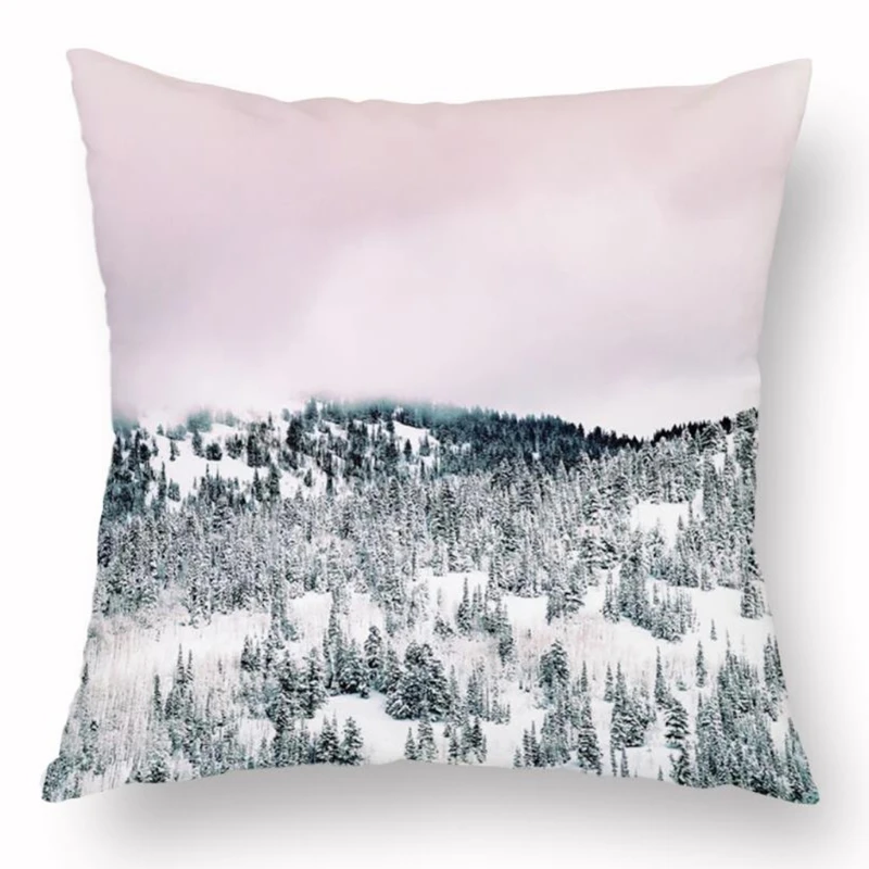 Pillow Case Nordic Abstract Simple Printing Cushion Cover for Sofa Car Bedroom N0PA
Pillow Case Nordic Abstract Simple Printing Cushion Cover for Sofa Car Bedroom N0PA