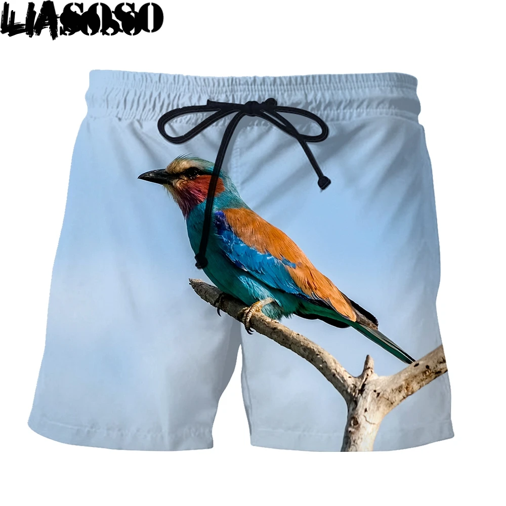 LIASOSO Magpie Bird 3D Printing Men Women New Pants Beach Sweatpants Shorts Fashion Casual Oversized Comfortable Harajuku Loose
LIASOSO Magpie Bird 3D Printing Men Women New Pants Beach Sweatpants Shorts Fashion Casual Oversized Comfortable Harajuku Loose
