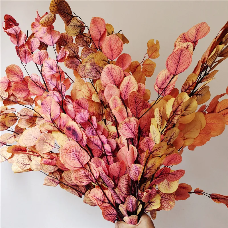 About 60cm Real Dried Natural Fresh Forever Apple Leaves Eucalyptus Branches Preserved Leaves Flowers For Home Decor Wedding
About 60cm Real Dried Natural Fresh Forever Apple Leaves Eucalyptus Branches Preserved Leaves Flowers For Home Decor Wedding