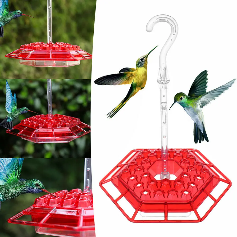 Hummingbird Feeder Tray With Perch and Built-In Ant Moat Diamond Shape for Little Window Viewing Bird Feeders Easy To Clean
Hummingbird Feeder Tray With Perch and Built-In Ant Moat Diamond Shape for Little Window Viewing Bird Feeders Easy To Clean