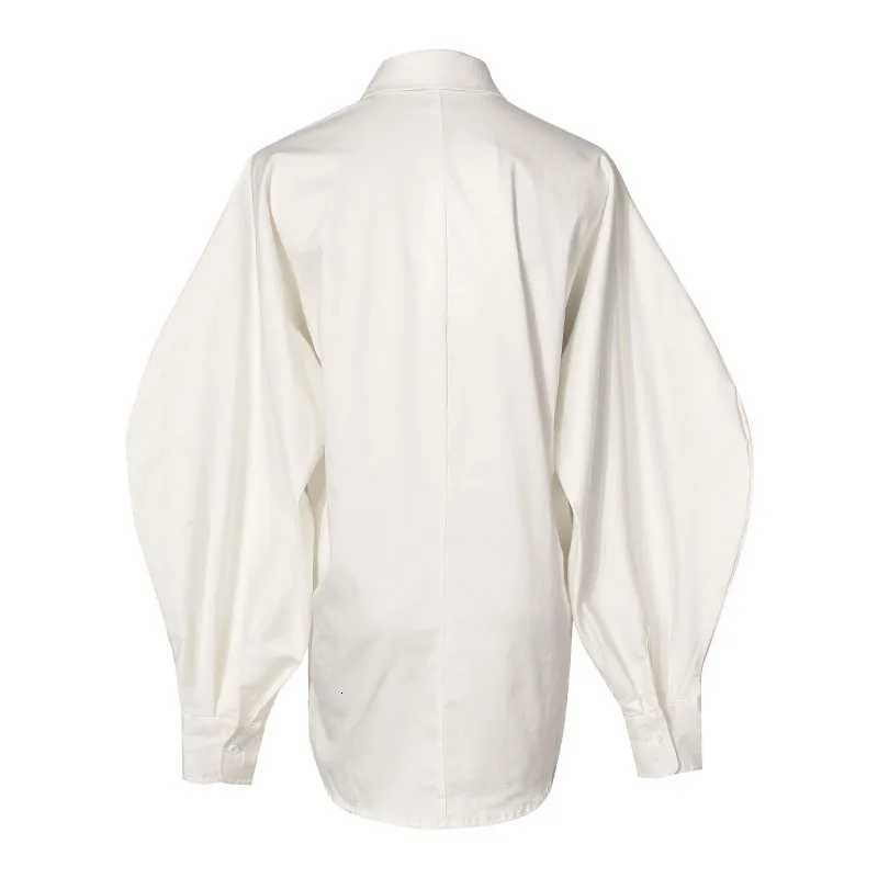 SeeBeautiful New Fashion Spring 2021 Printed Lapel Long Lantern Sleeve Single Breasted Loose Blouse Shirt Woman Q594
SeeBeautiful New Fashion Spring 2021 Printed Lapel Long Lantern Sleeve Single Breasted Loose Blouse Shirt Woman Q594