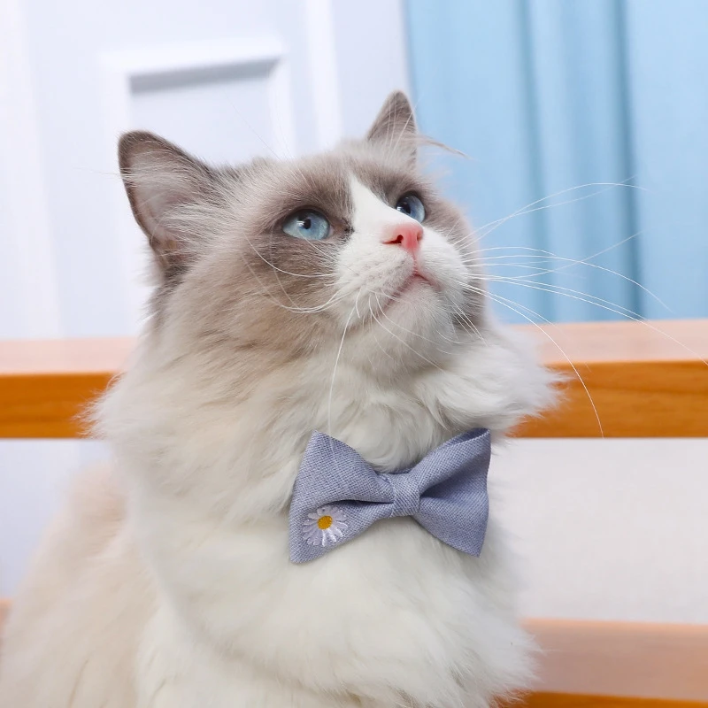 New Fashion Simple Cute Pet Cat Casual Collar Plain Color Quilted Embroidery Bow Single Collar Jewelry Cat Collar Pet Supplies
New Fashion Simple Cute Pet Cat Casual Collar Plain Color Quilted Embroidery Bow Single Collar Jewelry Cat Collar Pet Supplies