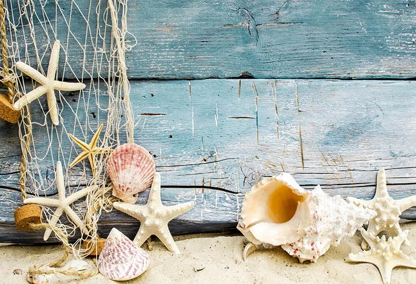 Vinyl Seaside Starfish Photography Backdrop Photo Studio Background Kids Birthday Newborn Baby Shower backdrop
Vinyl Seaside Starfish Photography Backdrop Photo Studio Background Kids Birthday Newborn Baby Shower backdrop