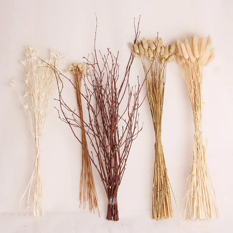 Natural Dried Flowers Setaria reed flower Wedding Party Decoration Craft Scrapbook Diy Home Decoration Wheat Bouquet Photo Props
Natural Dried Flowers Setaria reed flower Wedding Party Decoration Craft Scrapbook Diy Home Decoration Wheat Bouquet Photo Props