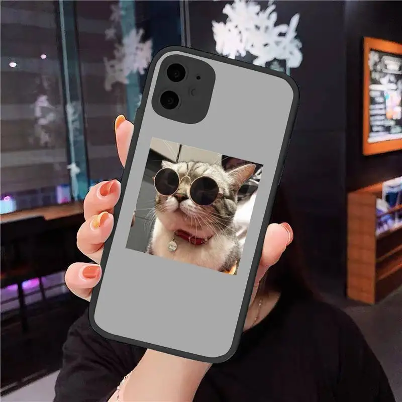 Phone Case For iPhone 12 11 Mini Pro XR XS Max 7 8 Plus X Cute cat puppy pet Matte transparent cover
Phone Case For iPhone 12 11 Mini Pro XR XS Max 7 8 Plus X Cute cat puppy pet Matte transparent cover